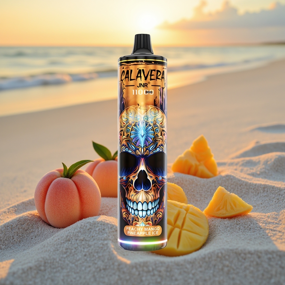 JNR Calavera 11000 Puffs Vienreizējās lietošanas vape Persiku Mango Ananāsu Ledus ar Type-C, 850mAh, 21ml, 1.0ohm