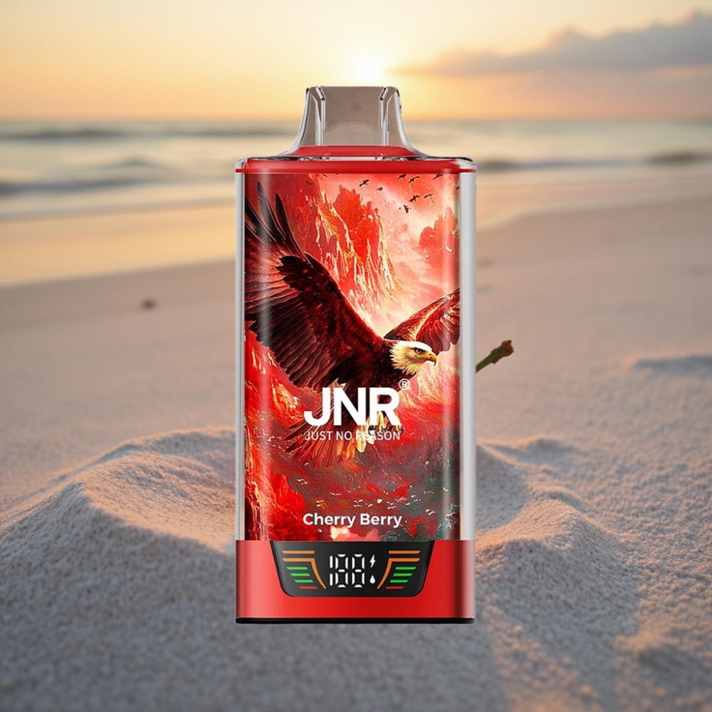 JNR Falcon Pro 28000 Dispozablais Vērpe Kiršu-Ogu 30ml 5% Nikotīna USB-C