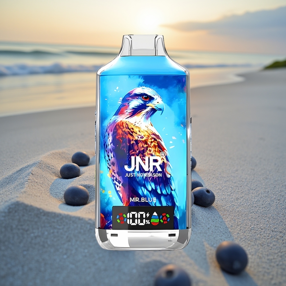 JNR Falcon X 18000 Puffs Vienreizējās lietošanas vape Kungs Zils 750mAh 24ml Dual Mesh Coil
