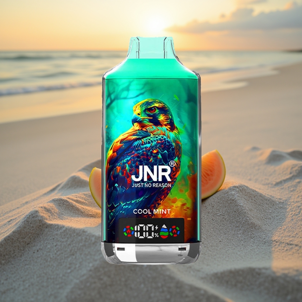 JNR Falcon X 18000 Puffs Vienreizējās lietošanas vape Vēsā Mētra, 750mAh, 24ml, Type-C, Digitāls