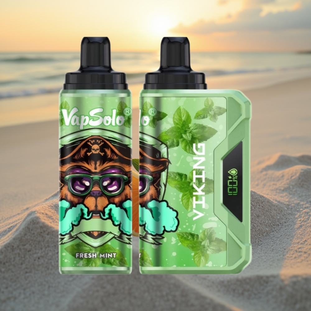 VapSolo VIKING 12000 Puffs Izmetamais Veips Svaigs Piparmētra 22ml 20/50 mg/ml Type-C LED