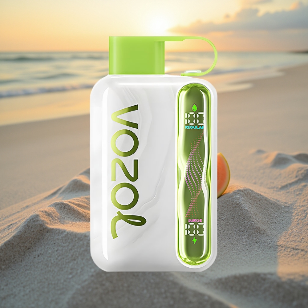 VOZOL STAR 40000 Izkšķējami Ieparasti Vape Aukstā Mētra 1000mAh Type-C 20/50mg/ml