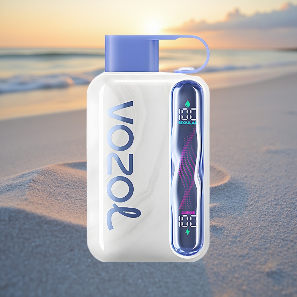 VOZOL STAR 40000 Puffs Izmēģinājuma Vāpēšanas ierīce ar Mellenes Ledus garšu, 1000mAh, Type-C, 20/50mg/ml